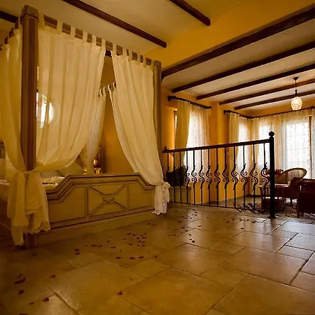 Отель The Olive Tree (adults Only)