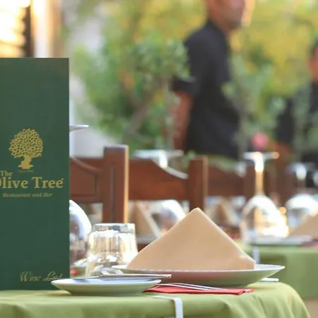 The Olive Tree (adults Only) Отель Олудениз
