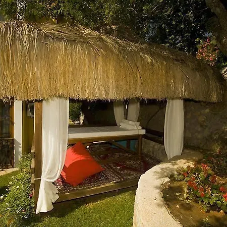 The Olive Tree (adults Only) Олудениз
