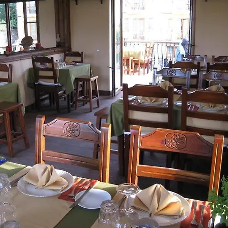 Отель The Olive Tree (adults Only) Олудениз