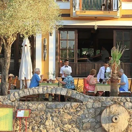 The Olive Tree (adults Only) Отель 3*